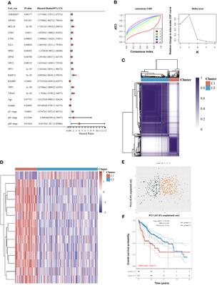 System analysis based on the lysosome-related genes identifies HPS4 as a novel therapy target for liver hepatocellular carcinoma